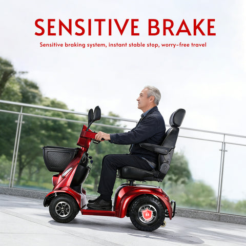 NINA Heavy-Duty All-Terrain Mobility Scooter – Dual Battery, Long Range, 800W Power