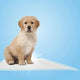 Alton Mobility Ultra-Soft Waterproof Incontinence Pads