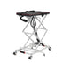 Alton Mobility Portable Power Wheelchair Lift to Put in the Car