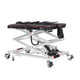 Alton Mobility Portable Power Wheelchair Lift to Put in the Car